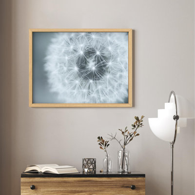 " Detailed White Dandelion Botanical Plants Modern Illustration Small Decor Modern Art Work "