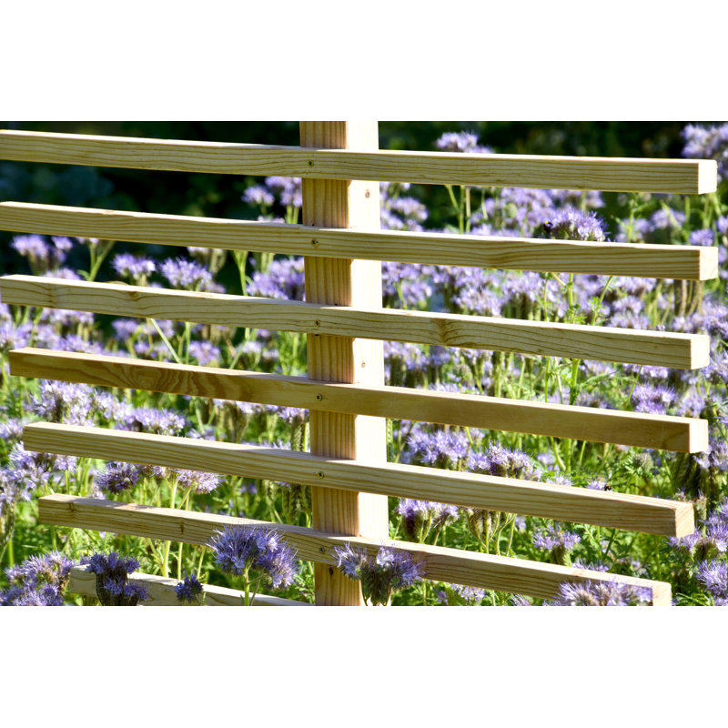 160cm H x 84cm W Wood Curved Trellis