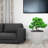 Foiba Pot Planter