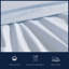 Ensemble de draps en percale de coton 200 fils Bradford-66180615-93808530