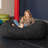 Jaxx Jr. Bean Bags Microfiber / Microsuede Bean Bag Chair & Lounger-19034381
