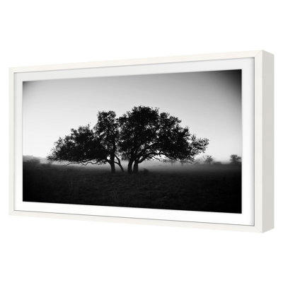 Foggy Morning Print by Jean Cornell