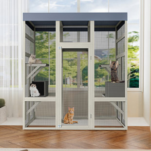 Cage d'extérieur en bois 62,6 po pour chats, grande enceinte pour chat avec toit imperméable, 2 maisons pour la sieste, plateformes et fil antirouille - Cage pour animaux sécurisée pour la cour ou le patio