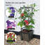 Claudette 4 Tier Trellis Planter