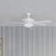 Ventilateur de plafond universel 2 lumières-26210104