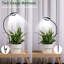 Naomi Grow Light
