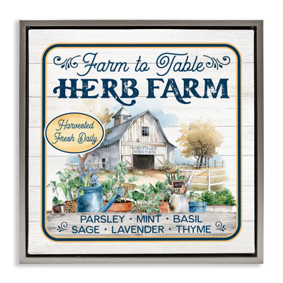 «Fresh Daily Herb Farm Floater», art mural sur toile par Mollie B.
