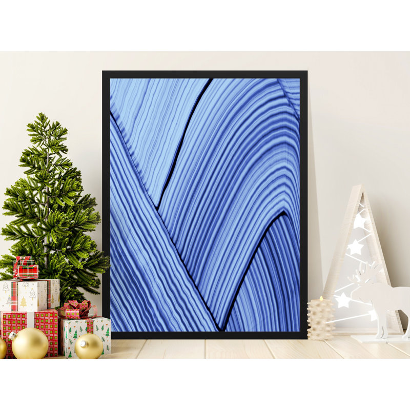 Ceniyah Single Picture Frame Print, 35.56 cm H x 27.94 cm W