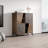 Santucci 42.1" Sideboard with Matte Finish
