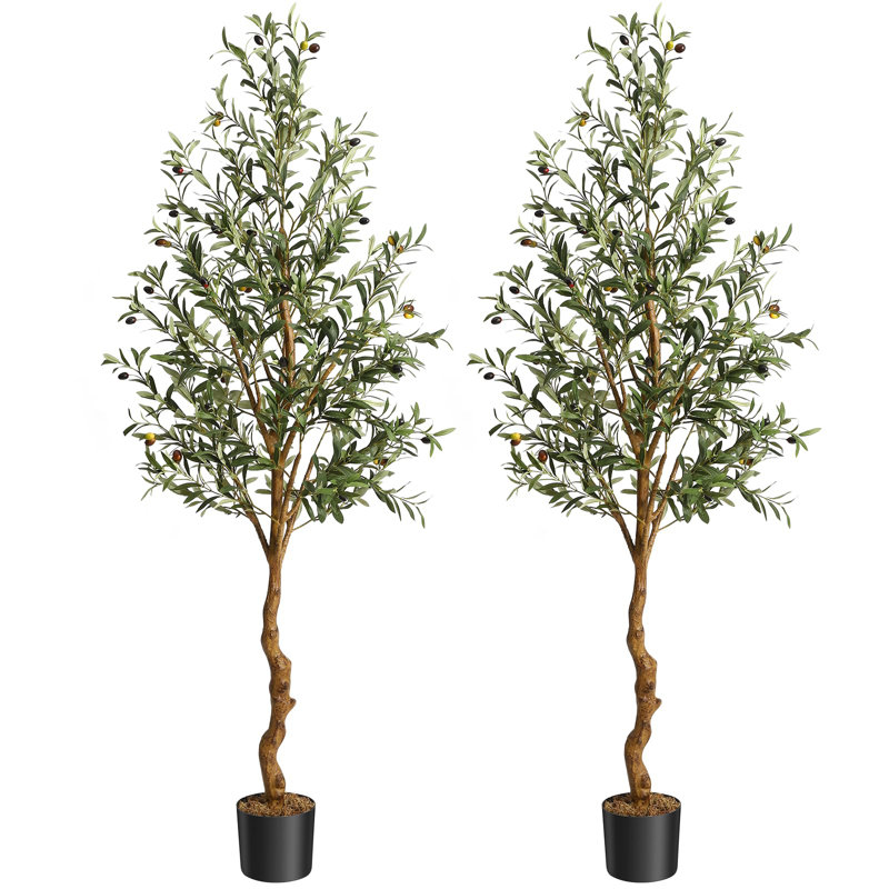 2 pièces d'oliviers artificiels en soie artificielle, H 72 po x l 5 po x P 5 po
