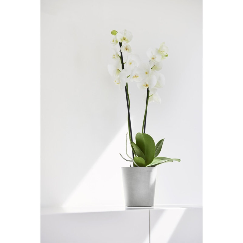Pot Planter, Gray
