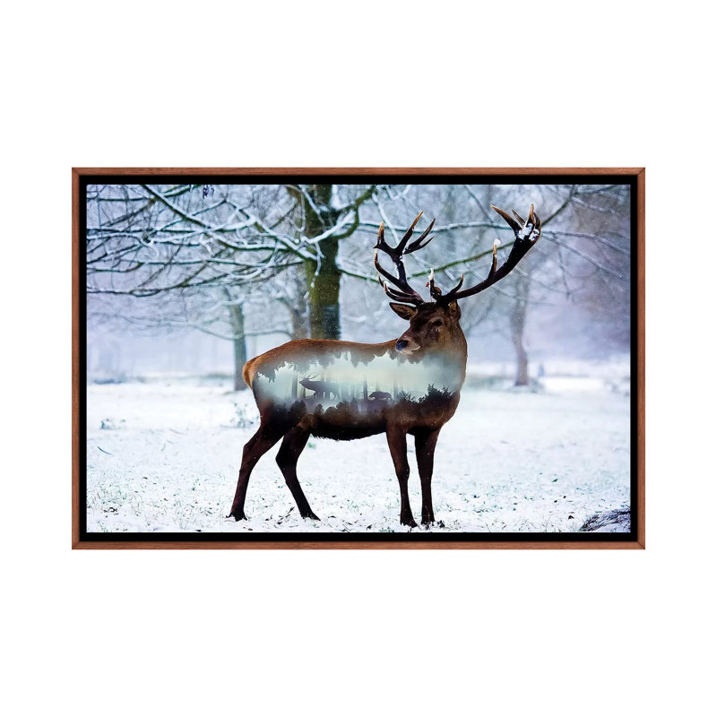 Winter Deer I by Paul Haag - Print on Canvas, 66.04 cm H x 45.72 cm W, Classic Brown Wood Framed