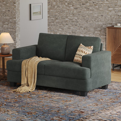 63 '' Upholstered Sofa 2 Seater Couches Small Loveseat For Small Apartment Living Room
