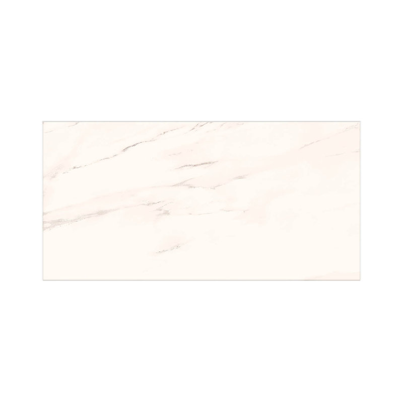 Couvercle de 12 po Kaia x 24 po Carreau de porcelaine mat pour mur et plancher aspect pierre, Brixan