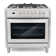 F965 Series 36 in. Stellar Collection 3.8 cu. ft. Dual Fuel Range, 5 Sealed Burners, 8 Function Convection Oven in Stainless Steel