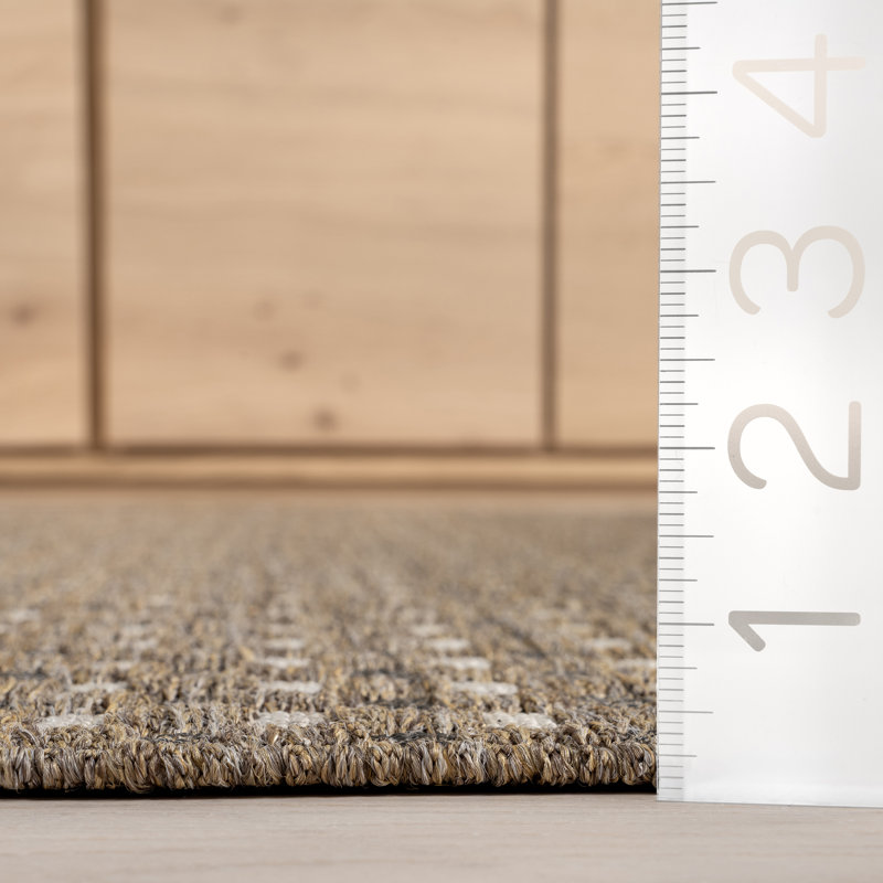 Carnagall Mini Checkered Indoor/Outdoor Area Rug, Rectangle 4' x 6'