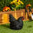 8"H Indoor/Outdoor Resting Hen Garden Statue-95852216