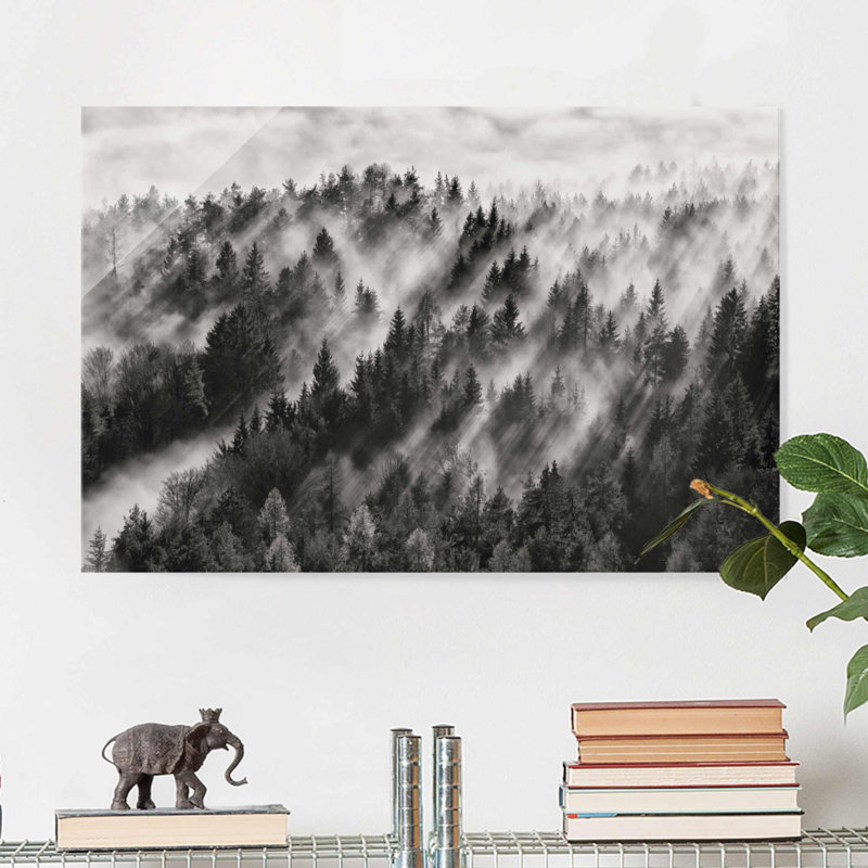 Light Rays In Coniferous Forest - No Frame Print on Glass, 20 cm H x 31 cm W x 0.5cm D, Paper
