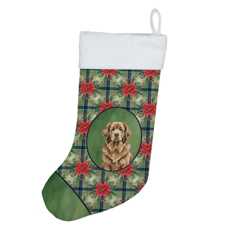 Chaussette de Noël brune Terre-Neuve PoinsettIas, Brun