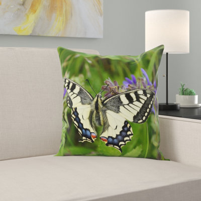 Coussin queue d’aronde