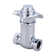 Manual Flush Valve