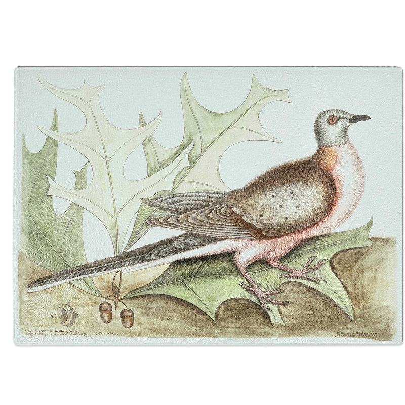 Tempered Glass Pigeon of Passage by Mark Catesby Chopping Board, 39 cm W x 28.5 cm L