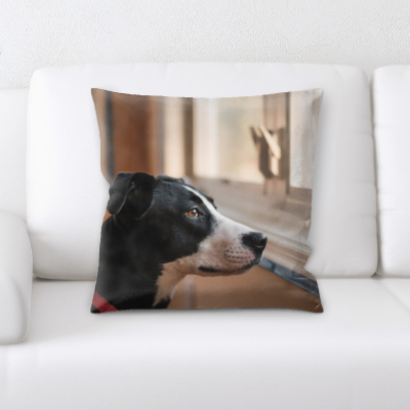 Coussin pour chien