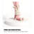 Minimalist Modern Resin Floor Lamp-60372742