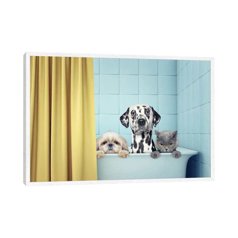 Two Dogs And Cat In The Bath by Helga1981 - Print on Canvas, White Framed, 45.72cm H x 66.04cm W x 3.81cm D