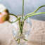 Waterbury Vase, Medium