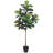 Elspeth Fiddle Leaf Fig Tree Drop-In