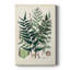 Collection Ferns VII - galerie sur mesure-117865952