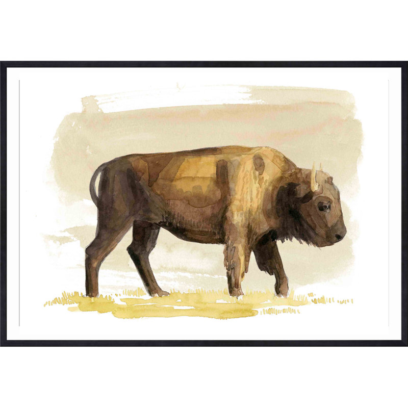«Bison S croquis I» par Grace Popp - peinture encadrée, H 36 po x l 24 po, Noir