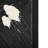 Cosmos I a Hand Embelished Textured Canvas-92376331