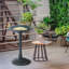 Quevedo Plastic / Acrylic Birdbath