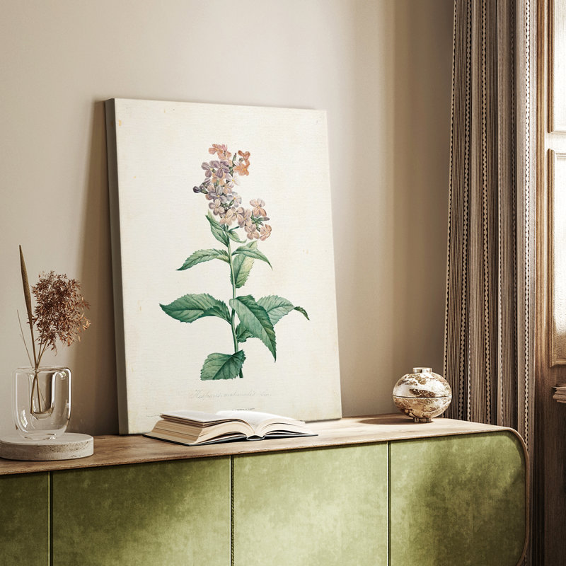 Traditional Botanical II - galerie sur mesure Cavas, H 27 po x l 18 po