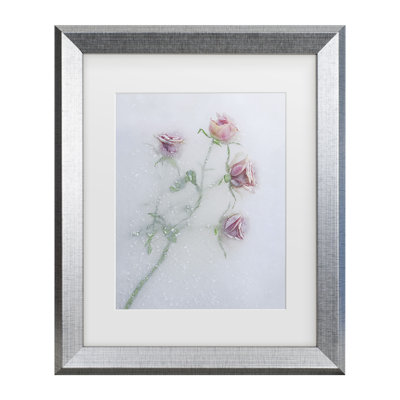 Bolog Pedro Uranga Roses Among The Ice. Matted Framed Art