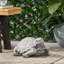 Statue de tortue d'extérieur TURTLE DECOR, aucun assemblage requis