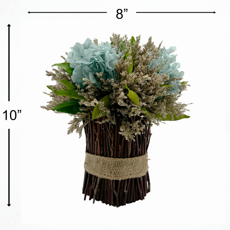 Topiaire hortensia sur pied 10 po
