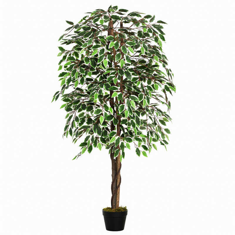 160cm Faux Ficus Tree in Pot