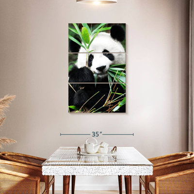 Brampt Giant Panda I