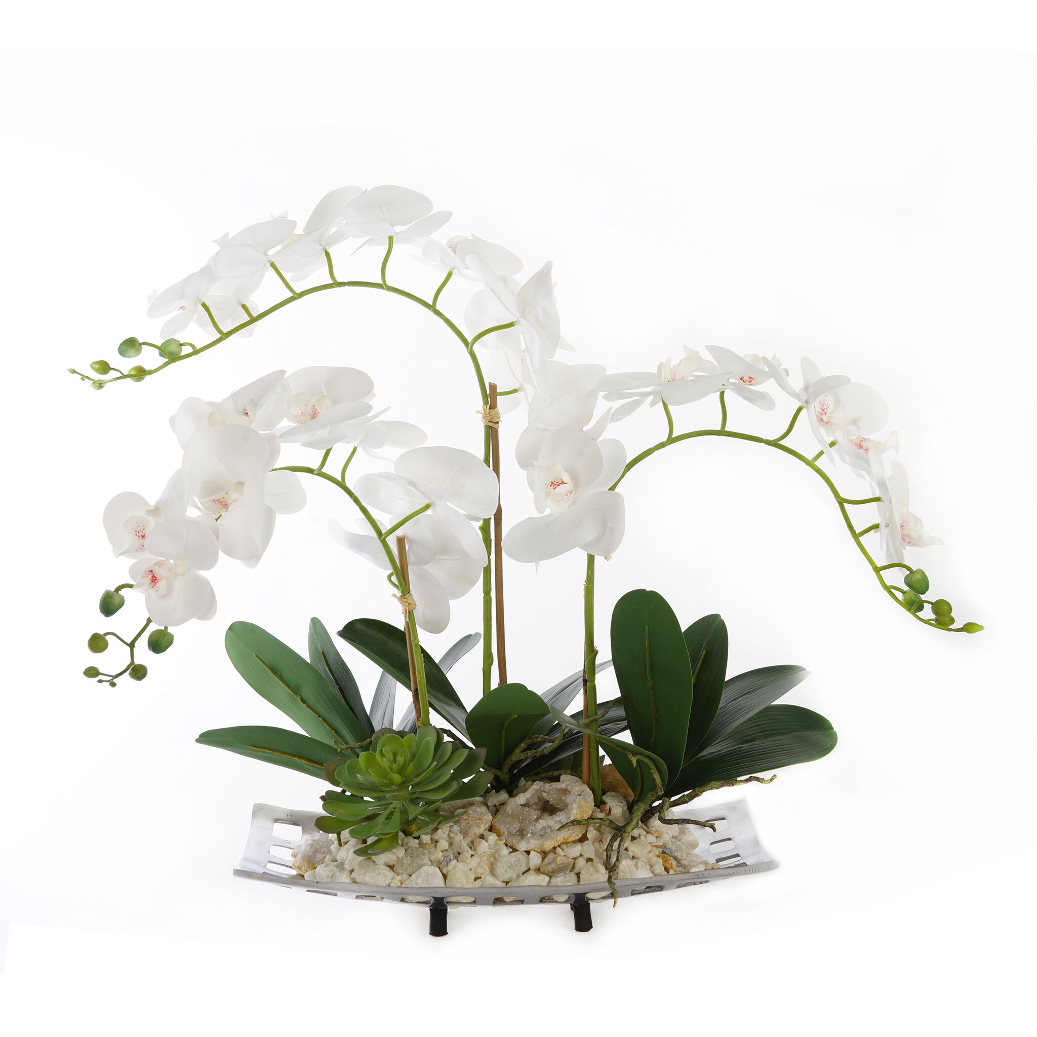 JennySilks Orchid Arrangement in Pot | Wayfair