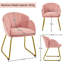 Flower Shape Tub Chair with Golden Metal Legs -1359078789