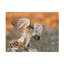 Art sur toile bolognaise Svein Ove Linde-109226336