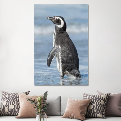 Magellanic Penguin, Falkland Islands. by Martin Zwick - Wrapped Canvas Print
