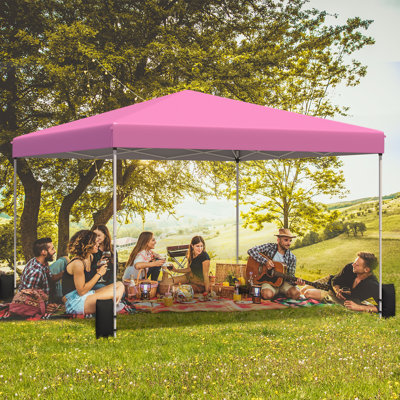 12'x12' Pop Up Tent, Outdoor Canopy With Sand Bags & Wheeled Bag, Portable Shelter For Events Pink