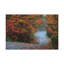 No Frame Print on Canvas-1886886036
