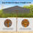 10ft Patio Wooden Market Table Umbrella Pulley With 8 Bamboo Ribs Sunshade Canopy-1518083600