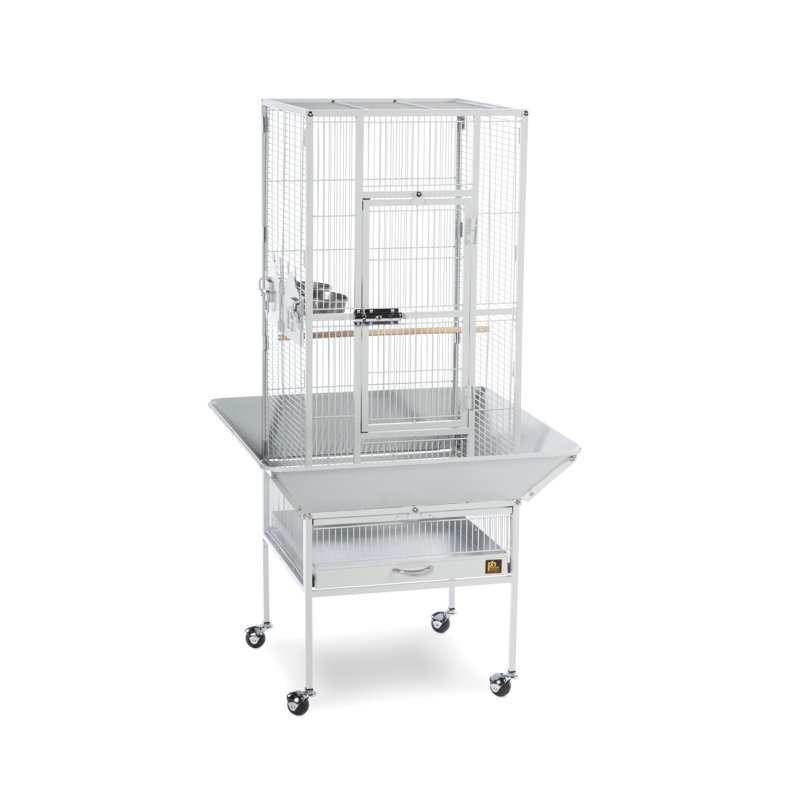 Cage à oiseaux en acier à toit plat avec roulettes Hester, Étain, H 49 po x l 18 po x P 18 po 