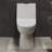 Daxton One-Piece Elongated Dual-Flush Toilet 1.1/1.6 gpf